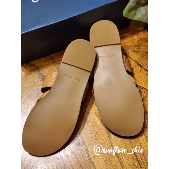 [NEW] Cole Haan Felicia Thong Sandals - Picture 8 of 11